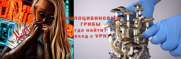 дурь Алзамай